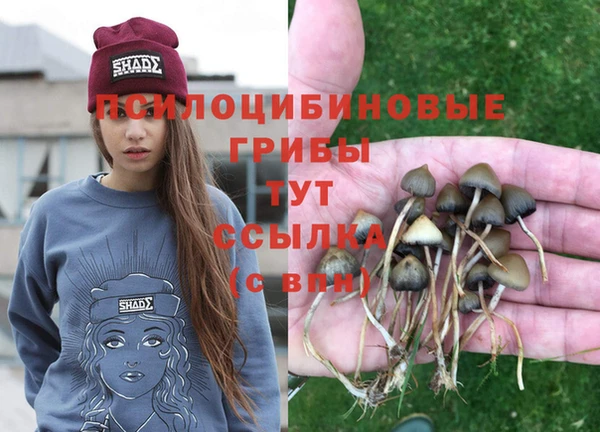 марки nbome Верхний Тагил