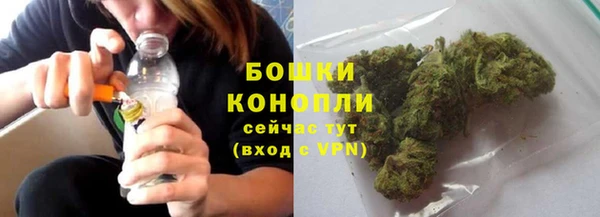 прущие крисы Верея