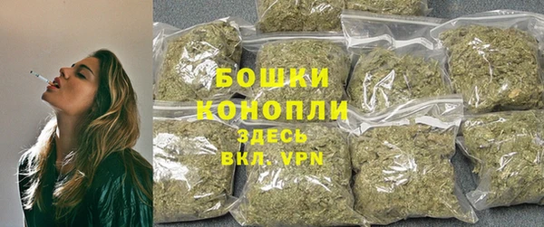 прущие крисы Верея