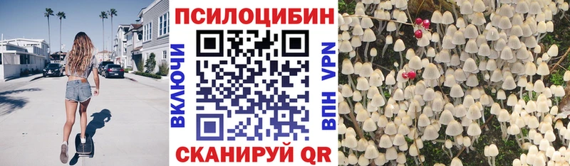 Галлюциногенные грибы ЛСД купить наркотик hydra ссылки Новоржев
